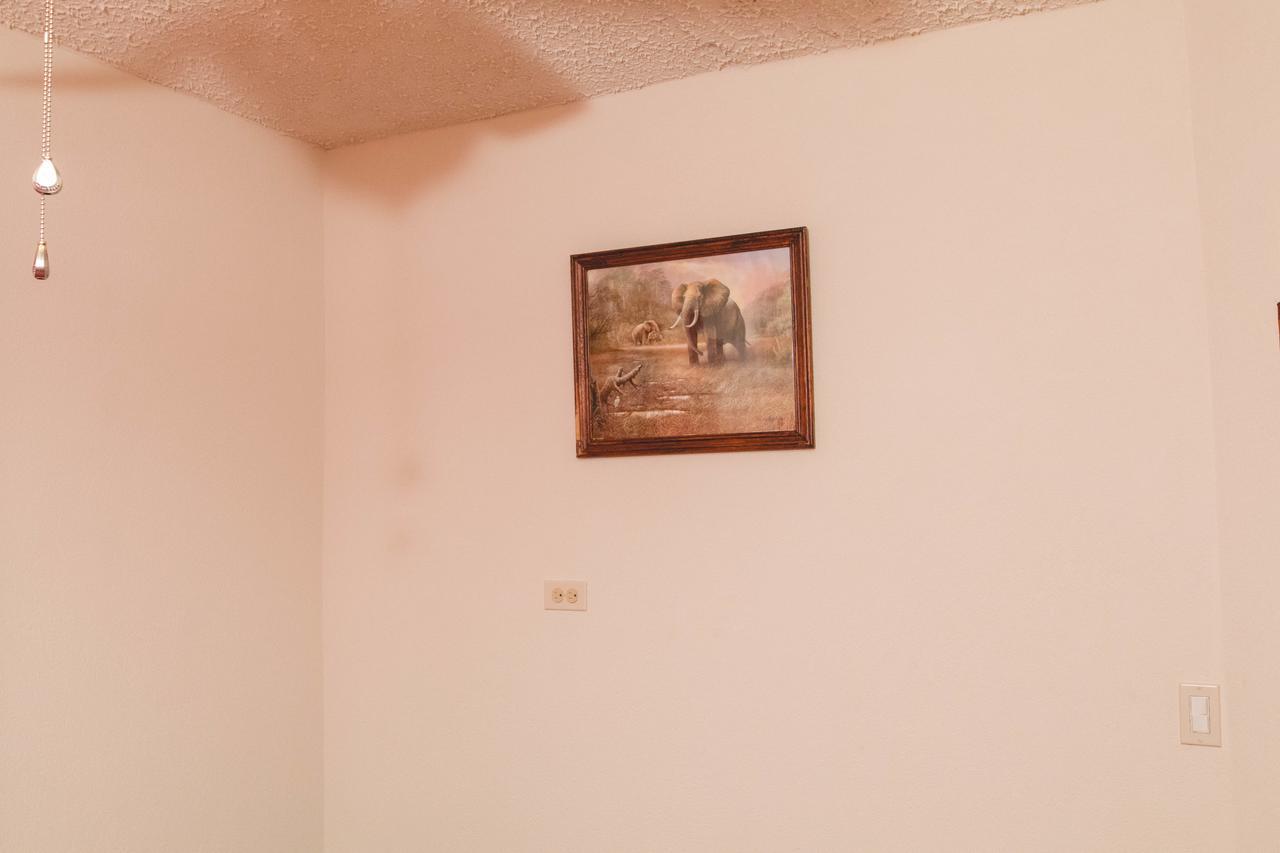 קרייסט צ'רץ' Frontline Apartments מראה חיצוני תמונה